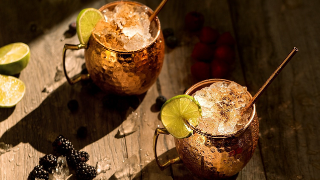 Copper Mugs Moscow Mule Set | $24 | Amazon